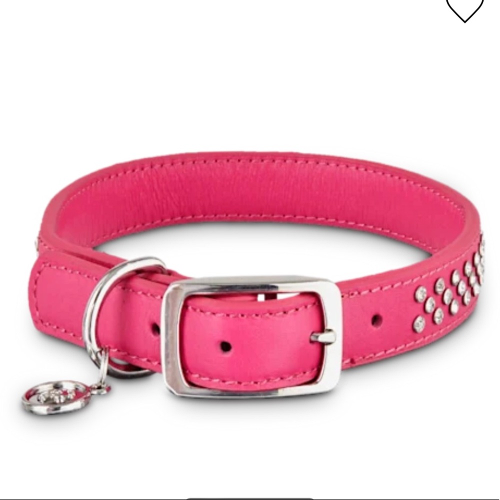 Bond & co dogs collar
